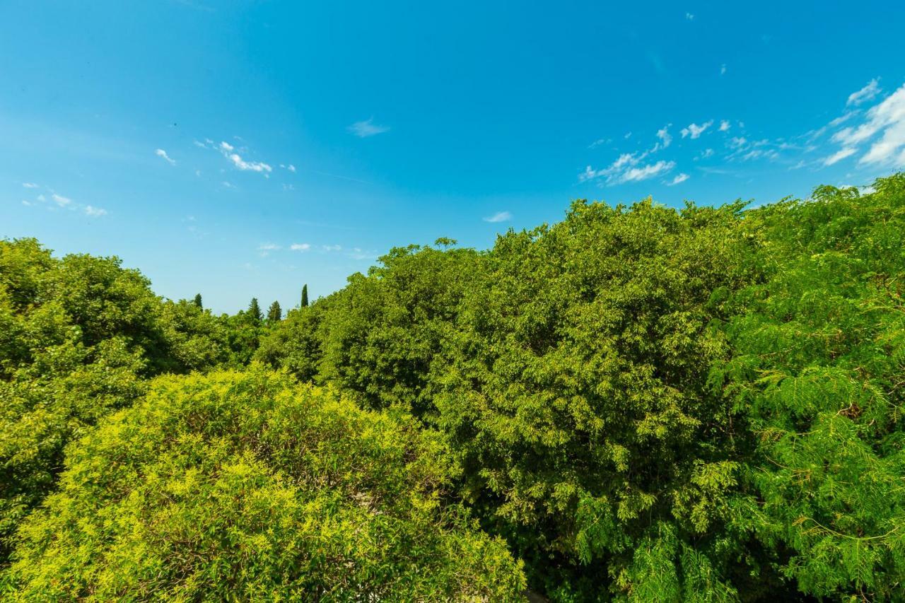 Apartament Hedera Estate, Hedera A1 Dubrownik Zewnętrze zdjęcie